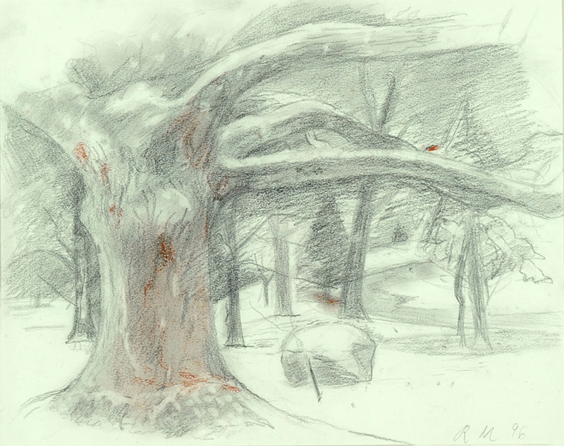Ruth Miller, American  Snow, 1995-6  Graphite and red conté crayon on paper, 15 x 18 inches  Gift of the Artist 