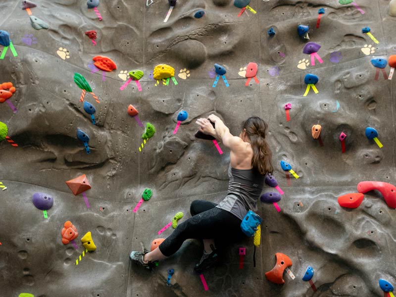 a female student hanging on the indoor climbing wall as she chooses her route up the wall